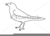 Crow Clipart Drawing Image