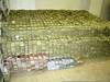 Chapo Money Room Image