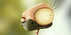3d Bird S 1 Image