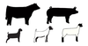 Free Livestock Clipart Image