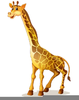 Clipart Girafe Image