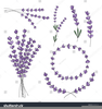 Lavender Clipart Image Image