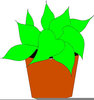 Free Clipart Plants Image
