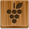 Grapes Icon Image