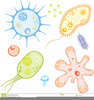 Animated Clipart In Science Image