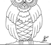 Owl Clipart To Color Image