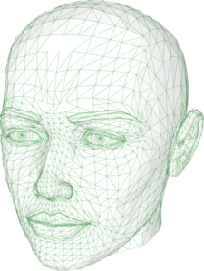 Human Head Clip Art