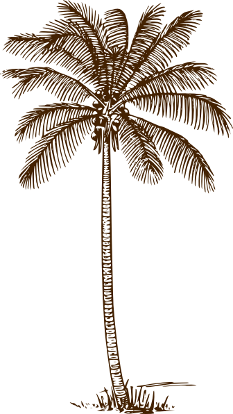 Palm Tree Clip Art at Clker.com - vector clip art online, royalty free