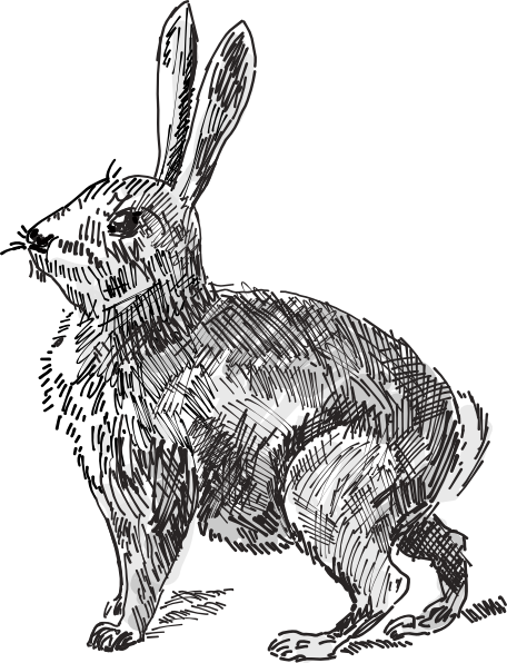 clip art images rabbit - photo #49