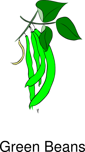 clipart of green beans - photo #1