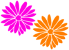 Dahlia Pink Clip Art