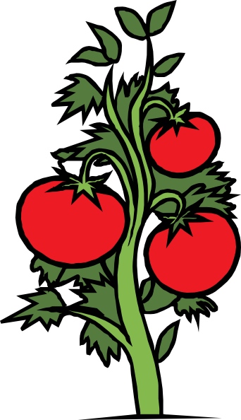 Tomato Plant Clip Art. Tomato Plant · By: OCAL 6.5/10 21 votes