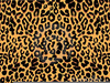 Cheetah Pattern Clipart Image