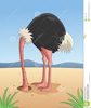 Ostrich Head In Sand Clipart Image