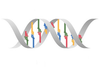 Genetics Clipart Image