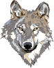 Wolf 2 Clip Art