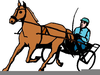 Riding A Horse Clipart Image