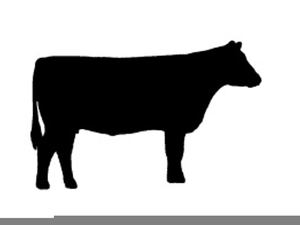 Herd Of Cattle Cliparts Image