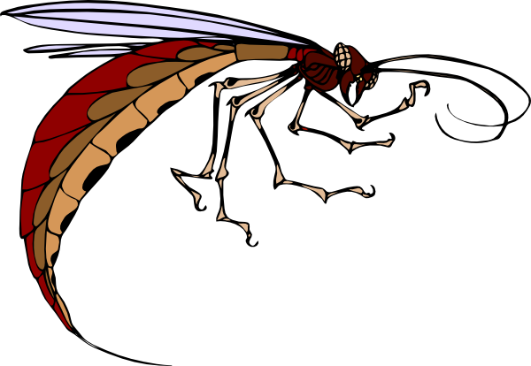free clipart cartoon insects - photo #44