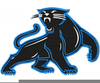 Carolina Panthers Logos Image