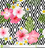 Tropical Flowers Clipart Image