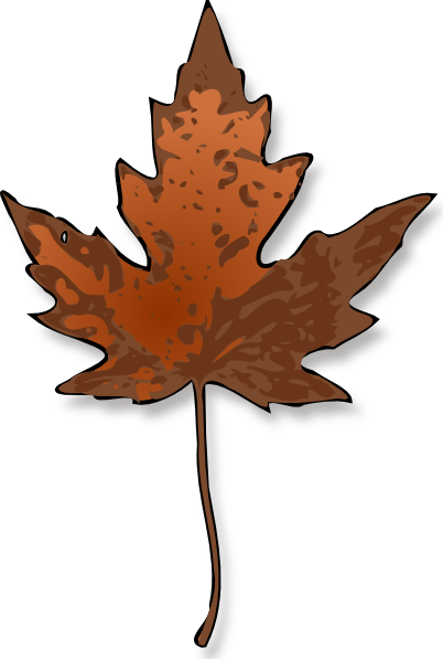 Canada+maple+leaf+png