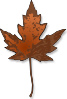 Maple Leaf Clip Art