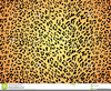 Leopard Skin Clipart Image