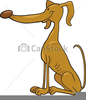 Greyhound Cartoon Clipart Image