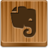 Evernote Icon Image