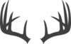 Antlers Dark Grey Md Image