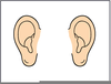 Free Clipart Of Human Ear Image