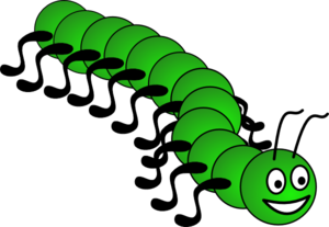 Centipede Clip Art at Clker.com - vector clip art online, royalty free