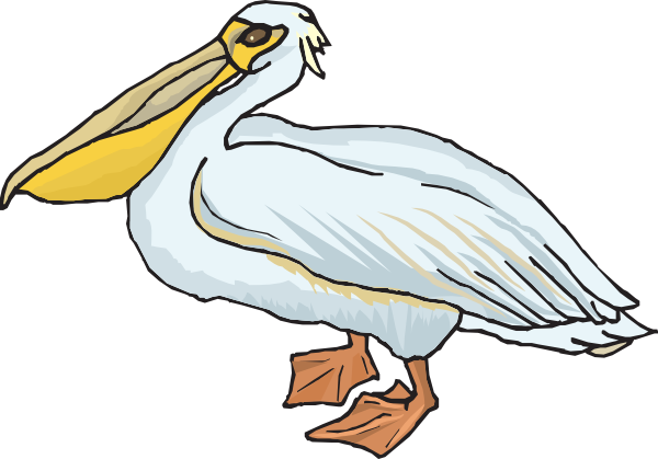 clipart cartoon pelicans - photo #8