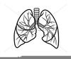Black Lungs Clipart Image