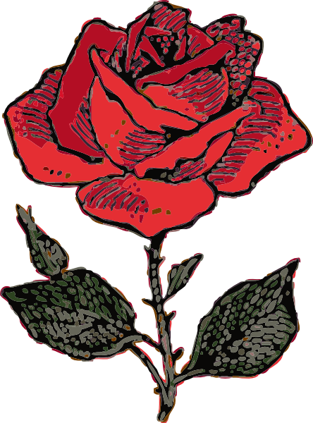 rose flower drawing. Rose clip art