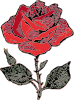 Rose Clip Art