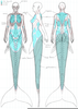 Mermaid Tail Anatomy Image