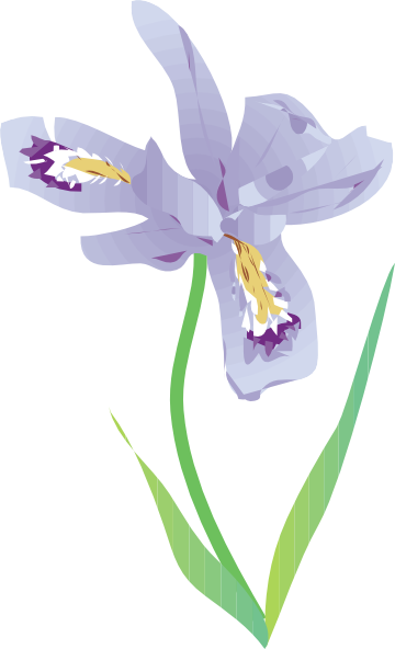 free clip art iris flower - photo #7