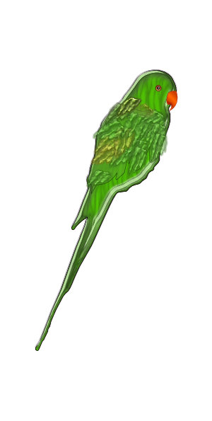 green parrot clipart - photo #6