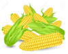 Stalk Corn Clipart Image