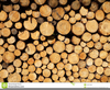 Pile Of Logs Clipart Image