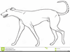 Greyhound Clipart Free Image