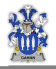 Gahan Family Name Image