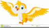 Birds Clipart Animated Image