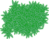Moss Clip Art