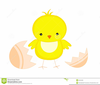 Clipart Easter Chick Image