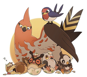 Pidgey Evolution Chart