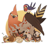 Pidgey Evolution Chart Image