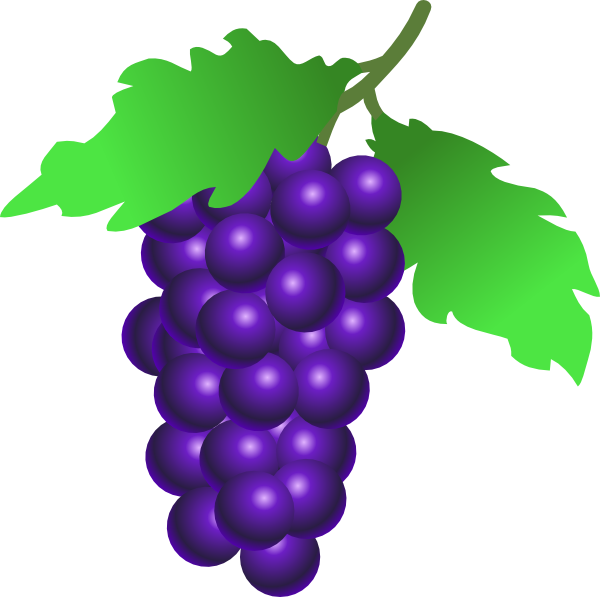 clip art pictures of grapes - photo #4